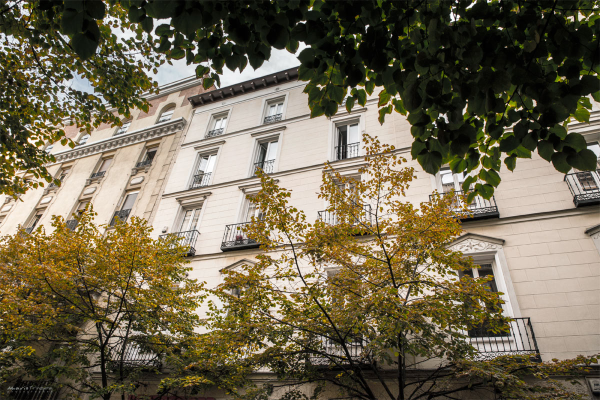 proj_claudio_coello_41_4d_a2